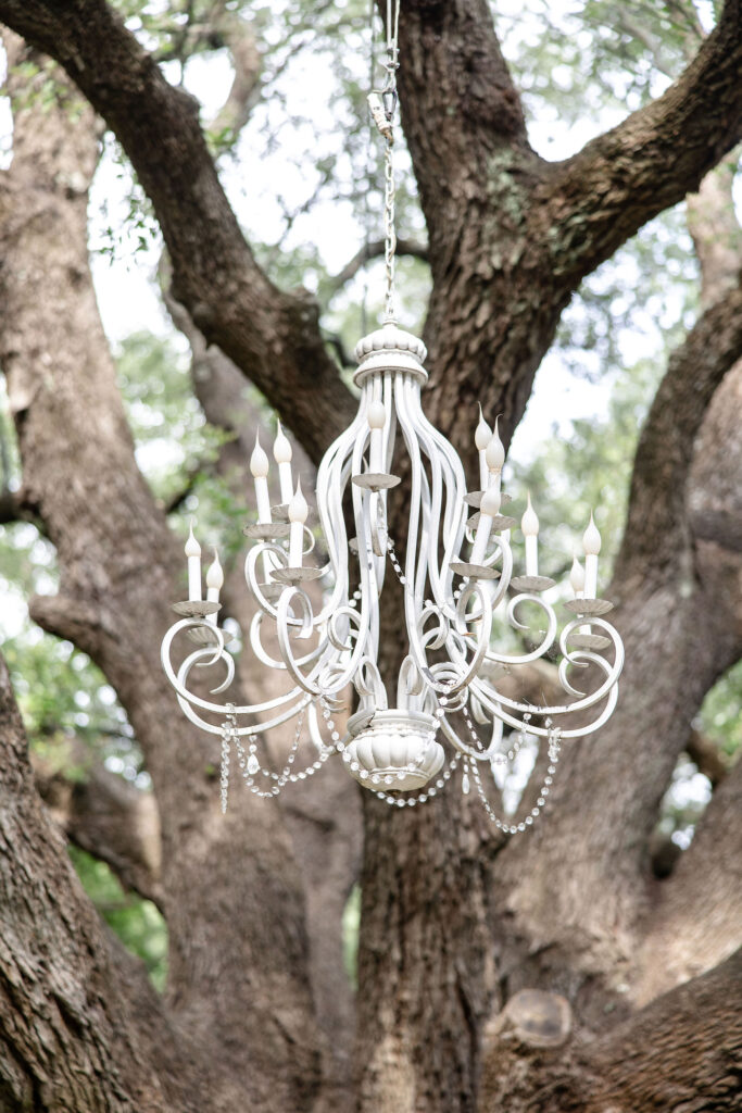 Outdoor wedding ceremony at Trickle Creek Ranch in Weatherford, Texas featuring a stone aisle, mature live oak trees, and a romantic natural setting.